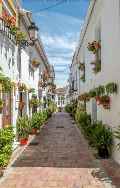 Trebol Apartamentos Benalmadena อาร์โรโย เดลา เมียล ภายนอก รูปภาพ